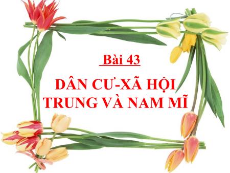 Bài giảng Địa Lí Lớp 7 - Bài 43: Dân cư xã hội Trung và Nam Mĩ (Tiếp)