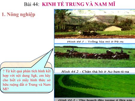 Bài giảng Địa Lí Lớp 7 - Bài 44: Kinh tế Trung và Nam Mĩ