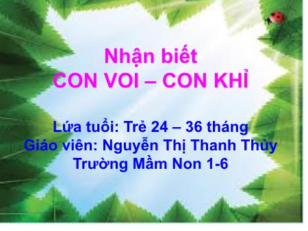 Bài giảng Mầm non Khối nhà trẻ - Đề tài: Nhận biết con Voi-con Khỉ - Nguyễn Thị Thanh Thủy