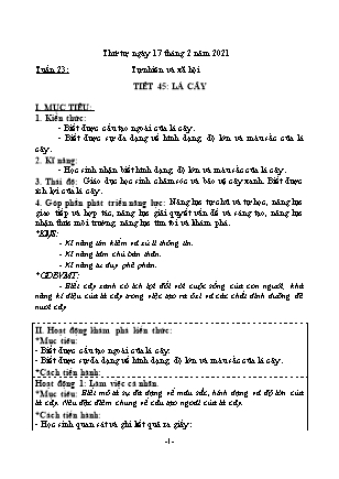 Bài giảng môn Tự nhiên và xã hội - Tiết 45: Lá cây