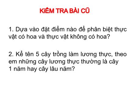 Bài giảng Sinh học Lớp 6 - Bài 5: Kính lúp, kính hiển vi và cách sử dụng