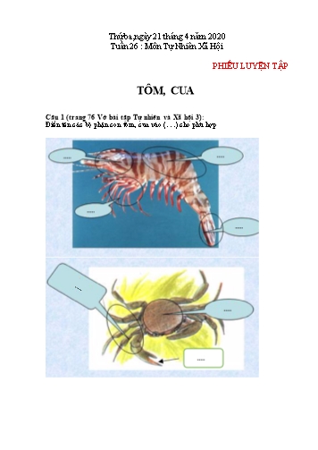Bài tập môn Tự nhiên xã hội - Tuần 26 - Bài: Tôm, Cua - Năm học 2019-2020
