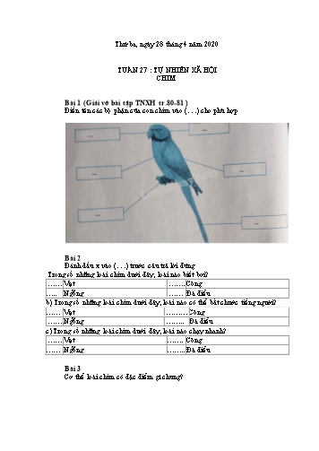 Bài tập môn Tự nhiên xã hội - Tuần 27 - Bài: Chim - Năm học 2019-2020
