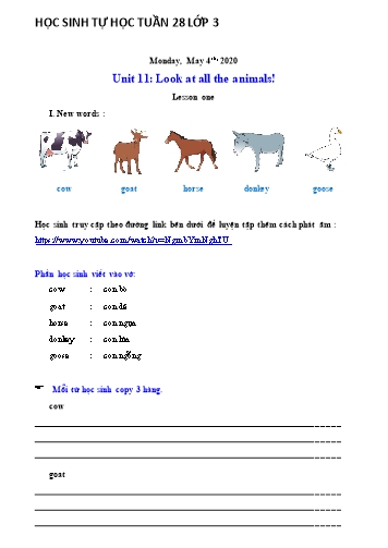 Bài tập Tiếng Anh Lớp 3 - Unit 11: Look at all the animals! - Năm học 2019-2020