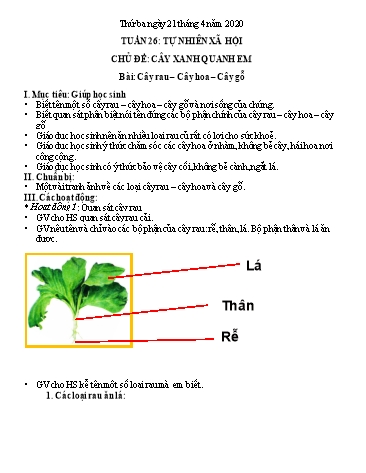 Ôn tập môn Tự nhiên và xã hội - Chủ đề: Cây xung quanh em. Bài: Cây rau, cây hoa, cây gỗ - Năm học 2019-2020