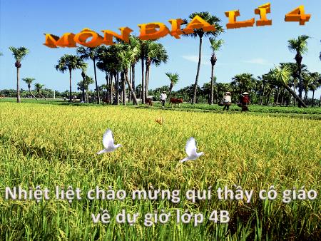 Bài giảng Địa lí Lớp 4 - Bài 18: Người dân ở đồng bằng Nam Bộ