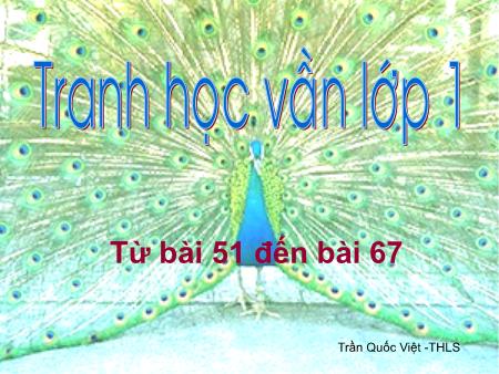 Bài giảng Học vần Lớp 1 - Bài 51-67 - Tranh học vần