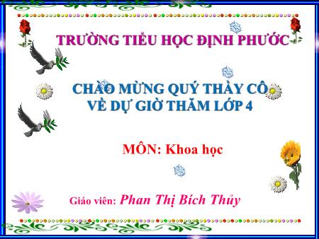 Bài giảng Khoa học Lớp 4 - Bài 17: Phòng tránh tai nạn đuối nước - Năm học 2016-2017 - Phan Thị Bích Thủy