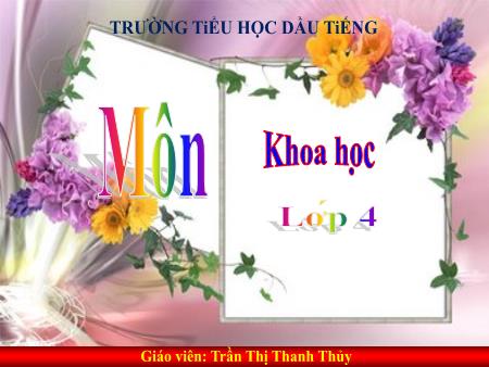 Bài giảng Khoa học Lớp 4 - Bài 40: Bảo vệ bầu không khí trong sạch - Trần Thị Thanh Thủy