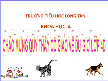 Bài giảng Khoa học Lớp 4 - Bài 63: Thức ăn của động vật là gì? - Năm học 2014-2015