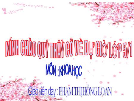 Bài giảng Khoa học Lớp 5 - Bài 12: Phòng bệnh sốt rét - Phạm Thị Hồng Loan