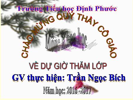 Bài giảng Khoa học Lớp 5 - Bài 18: Phòng tránh bị xâm hại - Năm học 2016-2017 - Trần Ngọc Bích