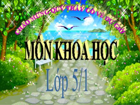 Bài giảng Khoa học Lớp 5 - Bài: Sự biến đổi hóa học (Tiếp theo) - Năm học 2016-2017