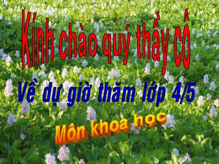 Bài giảng môn Khoa học Lớp 4 - Bài 58: Nhu cầu nước của thực vật