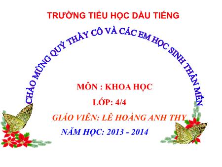 Bài giảng môn Khoa học Lớp 4 - Bài: Âm thanh trong cuộc sống (Tiếp theo) - Lê Hoàng Anh Thy