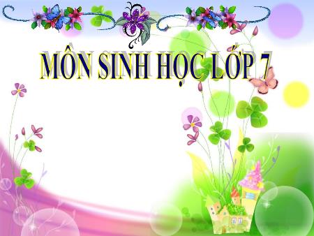 Bài giảng môn Sinh học Lớp 7 - Tiết 28: Đa dạng và đặc điểm chung của lớp sâu bọ