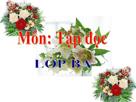 Bài giảng môn Tập đọc Lớp 3 - Bài: Ngôi nhà chung