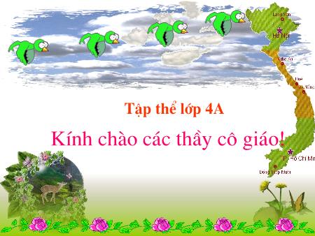Bài giảng môn Tin học Lớp 4 - Bài 5: Vẽ tự do bằng cọ vẽ, bút chì