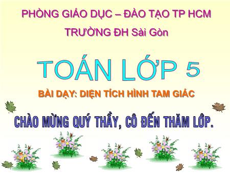 Bài giảng môn Toán Lớp 5 - Bài: Diện tích hình tam giác