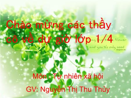 Bài giảng môn Tự nhiên xã hội Lớp 1 - Bài 12: Nhà ở - Nguyễn Thị Thu Thủy
