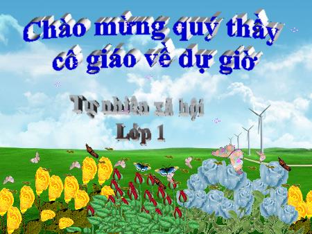 Bài giảng môn Tự nhiên xã hội Lớp 1 - Bài: Giữ gìn lớp học sạch, đẹp