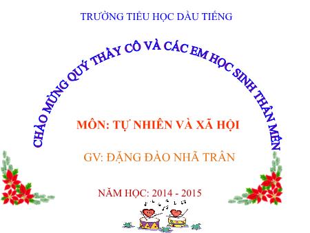 Bài giảng môn Tự nhiên xã hội Lớp 2 - Bài 17: Phòng tránh ngã khi ở trường - Năm học 2014-2015 - Đặng Đào Nhã Trân