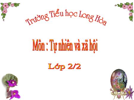 Bài giảng môn Tự nhiên xã hội Lớp 2 - Bài: Ôn tập. Xã hội - Trường Tiểu học Long Hòa