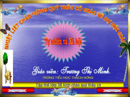 Bài giảng môn Tự nhiên xã hội Lớp 3 - Bài: Côn Trùng - Trương Thị Minh