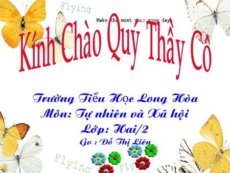 Bài giảng mônTự nhiên xã hội Lớp 2 - Bài: Gia đình - Đỗ Thị Liên - Trường TH Long Hòa