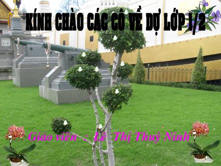 Bài giảng Tự nhiên và xã hội Lớp 1 - Bài 12: Nhà ở - Lê Thị Thúy Ninh