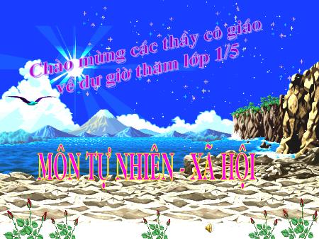 Bài giảng Tự nhiên và xã hội Lớp 1 - Bài 12: Nhà ở