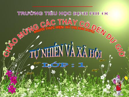 Bài giảng Tự nhiên và xã hội Lớp 1 - Bài 28: Con Muỗi - Năm học 2016-2017