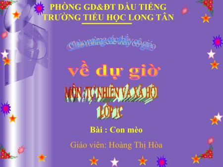 Bài giảng Tự nhiên và xã hội Lớp 1 - Bài: Con mèo - Năm học 2014-2015 - Hoàng Thị Hòa