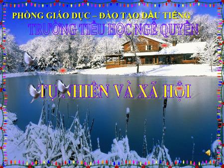 Bài giảng Tự nhiên và xã hội Lớp 2 - Bài 11: Gia đình - Trường Tiểu học Ngô Quyền