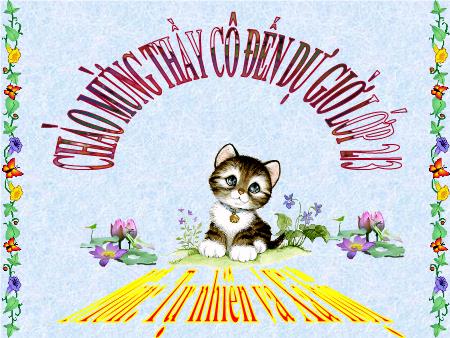 Bài giảng Tự nhiên và xã hội Lớp 2 - Bài 13: Giữ sạch môi trường xung quanh nhà ở