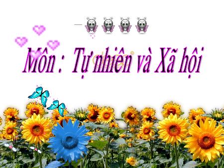 Bài giảng Tự nhiên và xã hội Lớp 2 - Bài 16: Hoạt động ở lớp