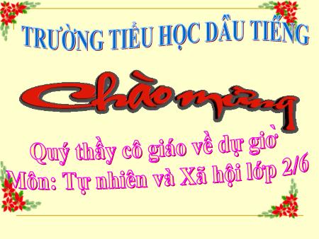 Bài giảng Tự nhiên và xã hội Lớp 2 - Bài 17: Phòng tránh ngã khi ở trường