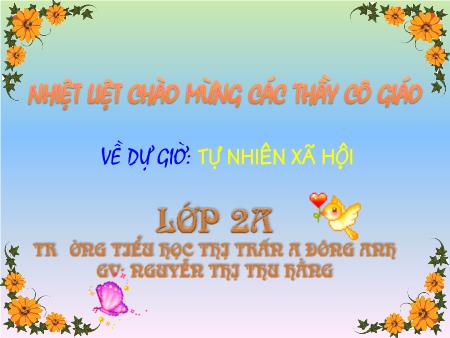 Bài giảng Tự nhiên và xã hội Lớp 2 - Bài 2: Bộ xương - Nguyễn Thị Thu Hằng