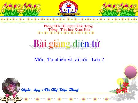 Bài giảng Tự nhiên và xã hội Lớp 2 - Bài 24: Cây sống ở đâu - Vũ Thị Diệu Thúy