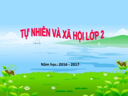 Bài giảng Tự nhiên và xã hội Lớp 2 - Bài: Ăn, uống sạch sẽ - Năm học 2015-2016