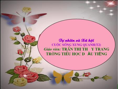 Bài giảng Tự nhiên và xã hội Lớp 2 - Bài: Cuộc sống xung quanh (Tiếp theo) - Trần Thị Thùy Trang