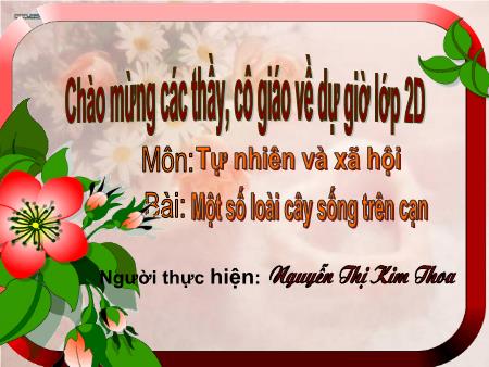 Bài giảng Tự nhiên và xã hội Lớp 2 - Bài: Một số loài cây sống trên cạn - Nguyễn Thị Kim Thoa