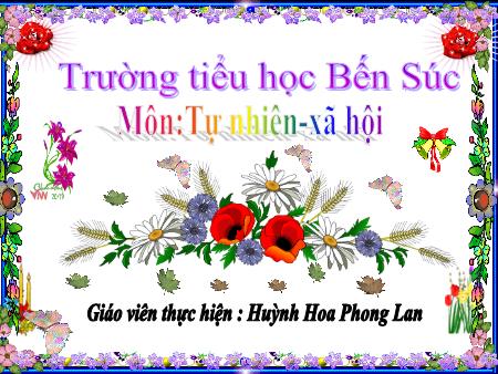 Bài giảng Tự nhiên và xã hội Lớp 2 - Bài: Nhà ở - Huỳnh Hoa Phong Lan