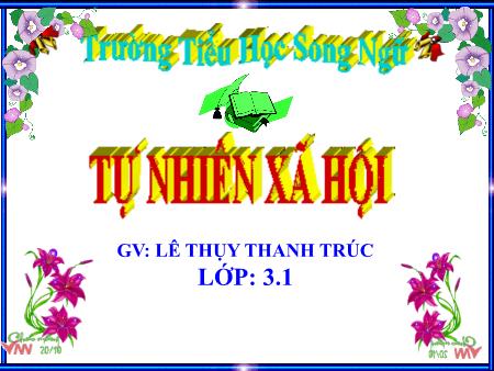 Bài giảng Tự nhiên và xa hội Lớp 3 - Bài 26: Không chơi các trò chơi nguy hiểm - Lê Thụy Thanh Trúc