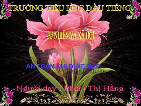 Bài giảng Tự nhiên và xã hội Lớp 3 - Bài 33: An toàn khi đi xe đạp - Phạm Thị Hằng