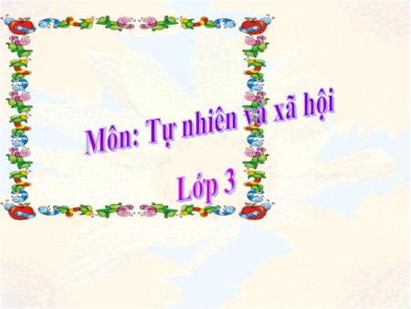 Bài giảng Tự nhiên và xa hội Lớp 3 - Bài 45: Lá cây