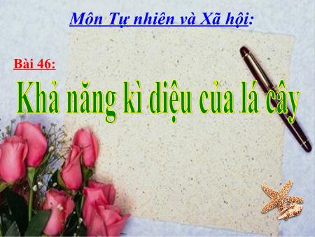 Bài giảng Tự nhiên và xã hội Lớp 3 - Bài 46: Khả năng kì diệu của lá cây
