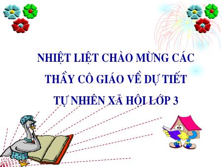 Bài giảng Tự nhiên và xã hội Lớp 3 - Bài 49: Động vật - Đặng Thị Hồng Chiến