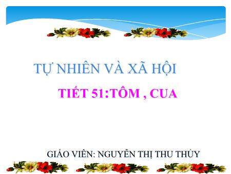Bài giảng Tự nhiên và xa hội Lớp 3 - Bài 51: Tôm, Cua - Nguyễn Thị Thu Thủy