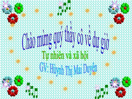 Bài giảng Tự nhiên và xa hội Lớp 3 - Bài 53: Chim - Huỳnh Thị Mai Duyên